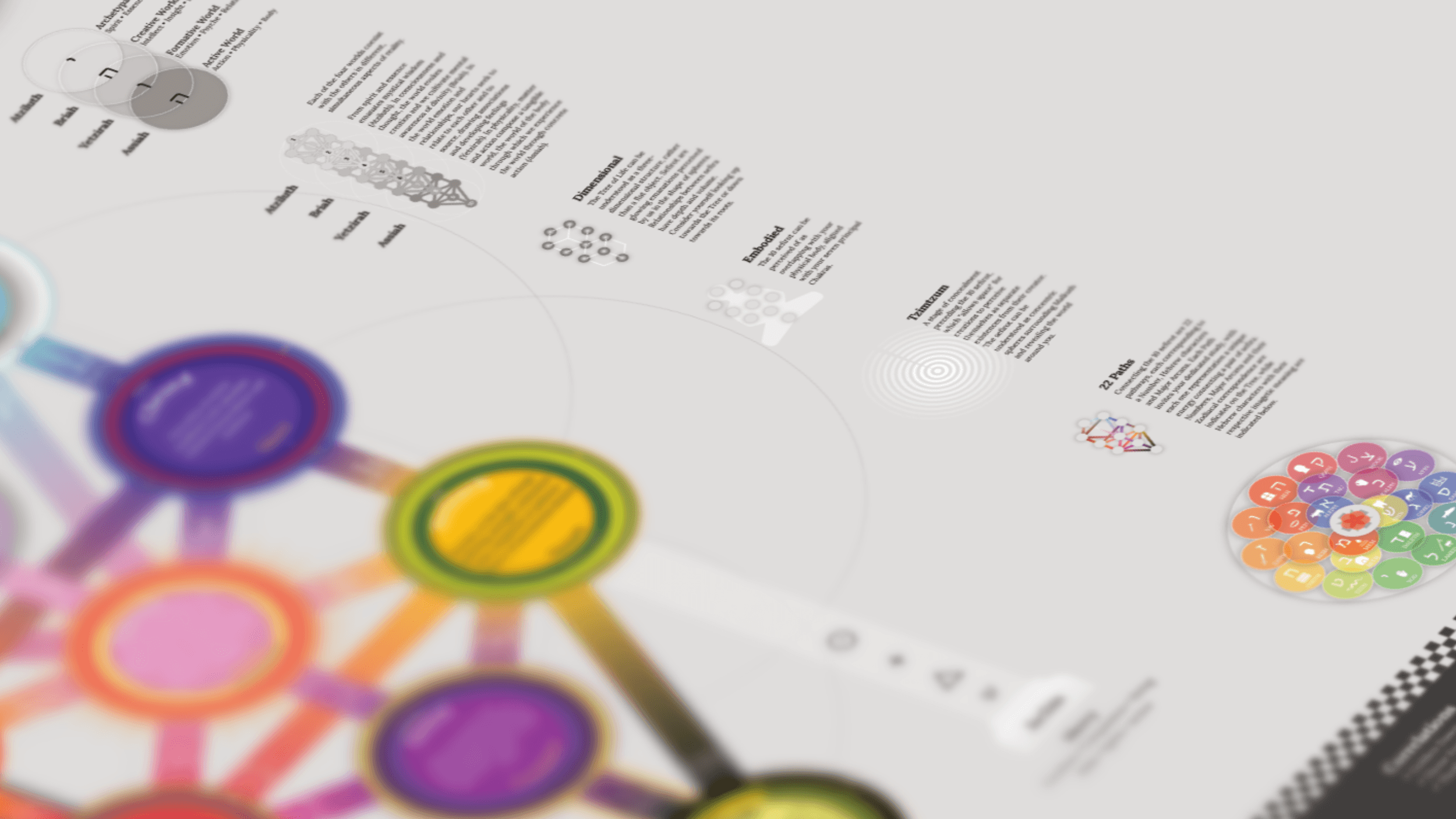 Tree of Life diagram variation C