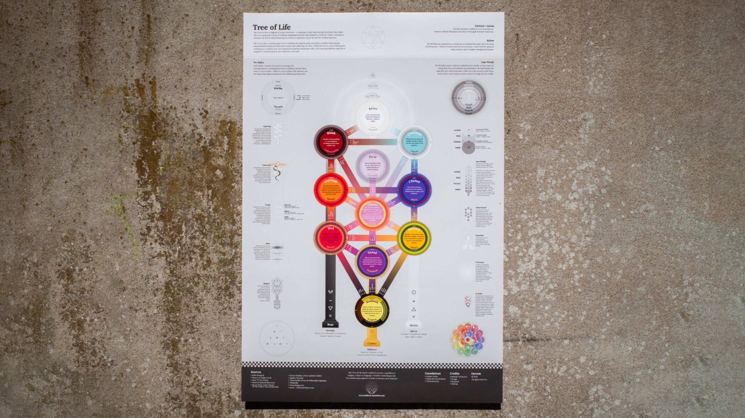 Tree of Life Diagram